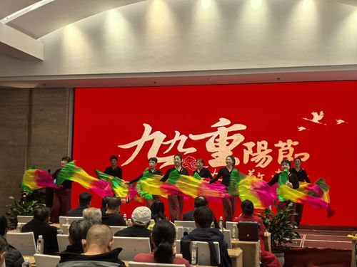 九華山祇民社區(qū)文藝匯演慶佳節(jié) 敬老溫情暖人心，文化藝術(shù)交流活動(dòng)策劃